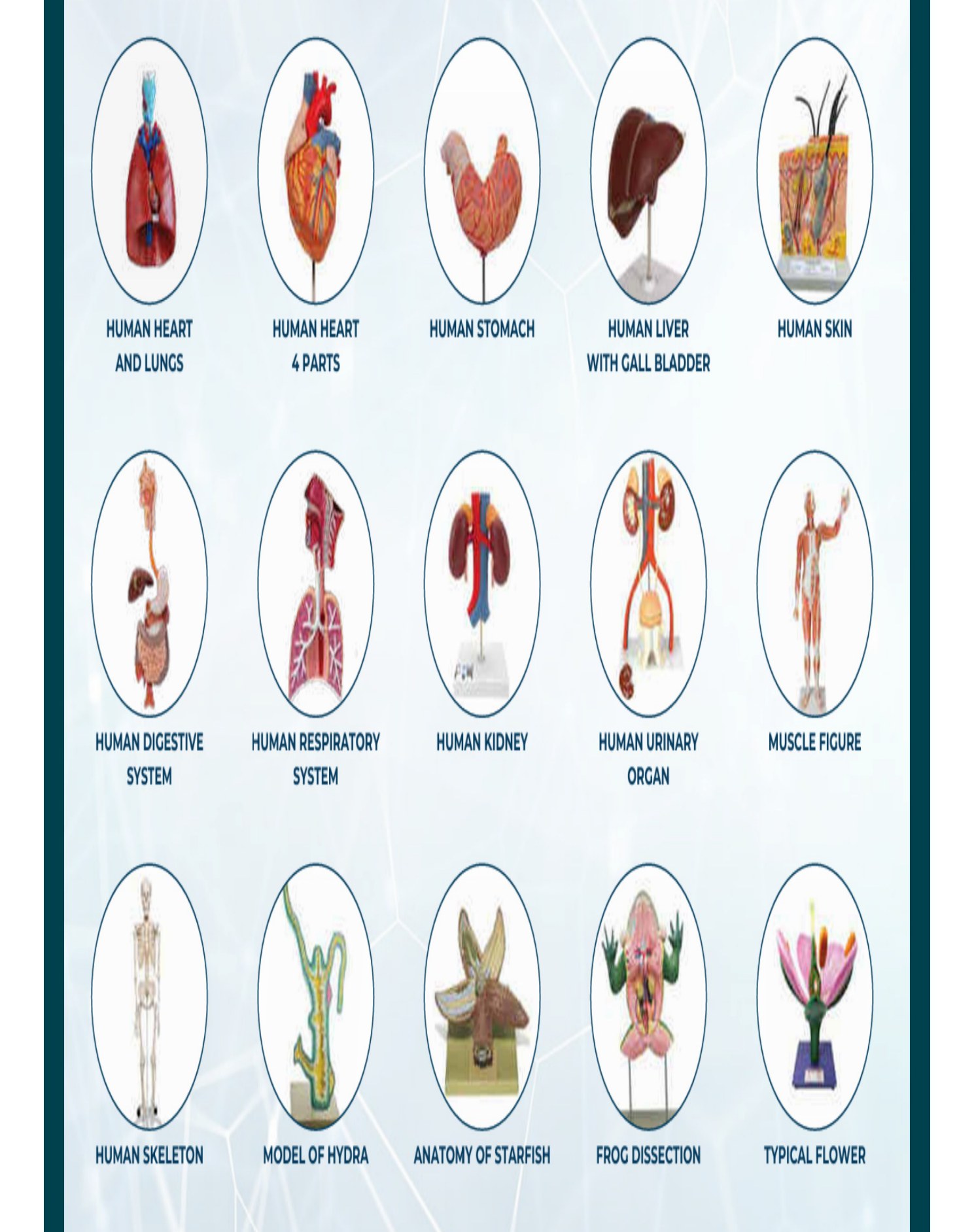 Scientific & Laboratory Equipment
